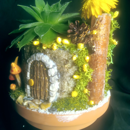 Fairy House live Plant #3